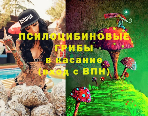 ешки Верхний Тагил